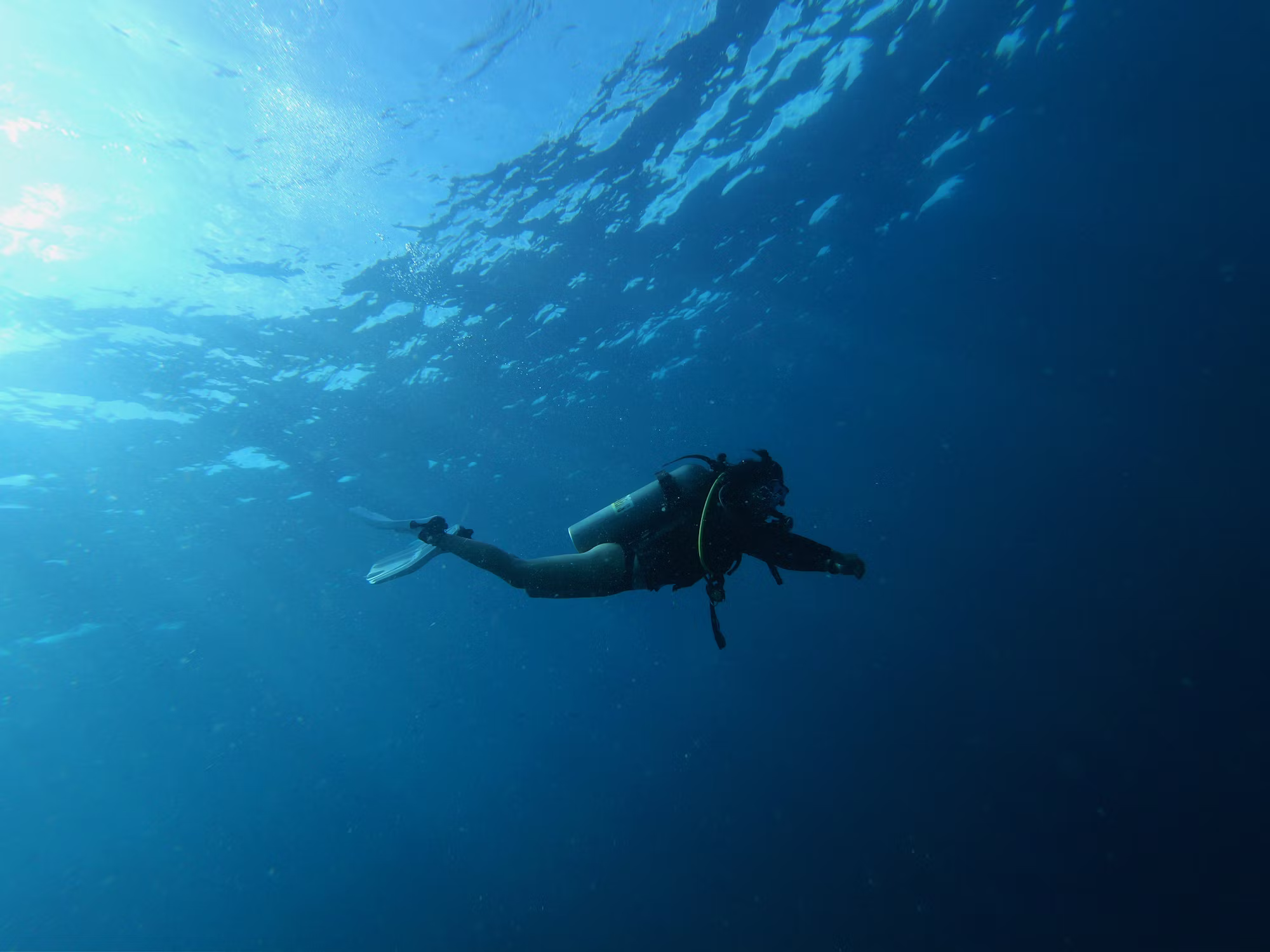 Discovering the Depths: A Guide to the Thrills of Diving