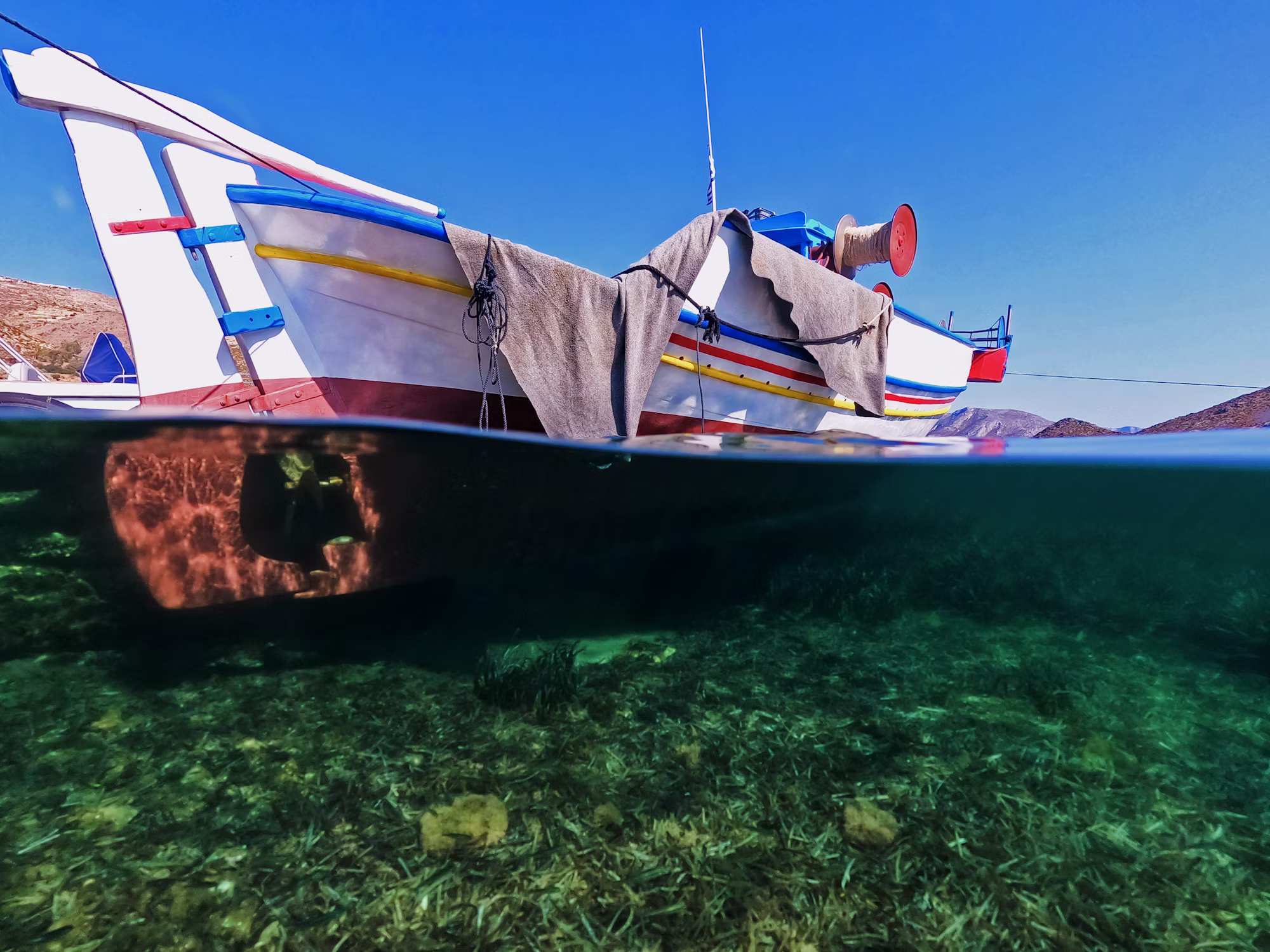 Exploring the Art of Fly Fishing: Techniques and Tips for Success